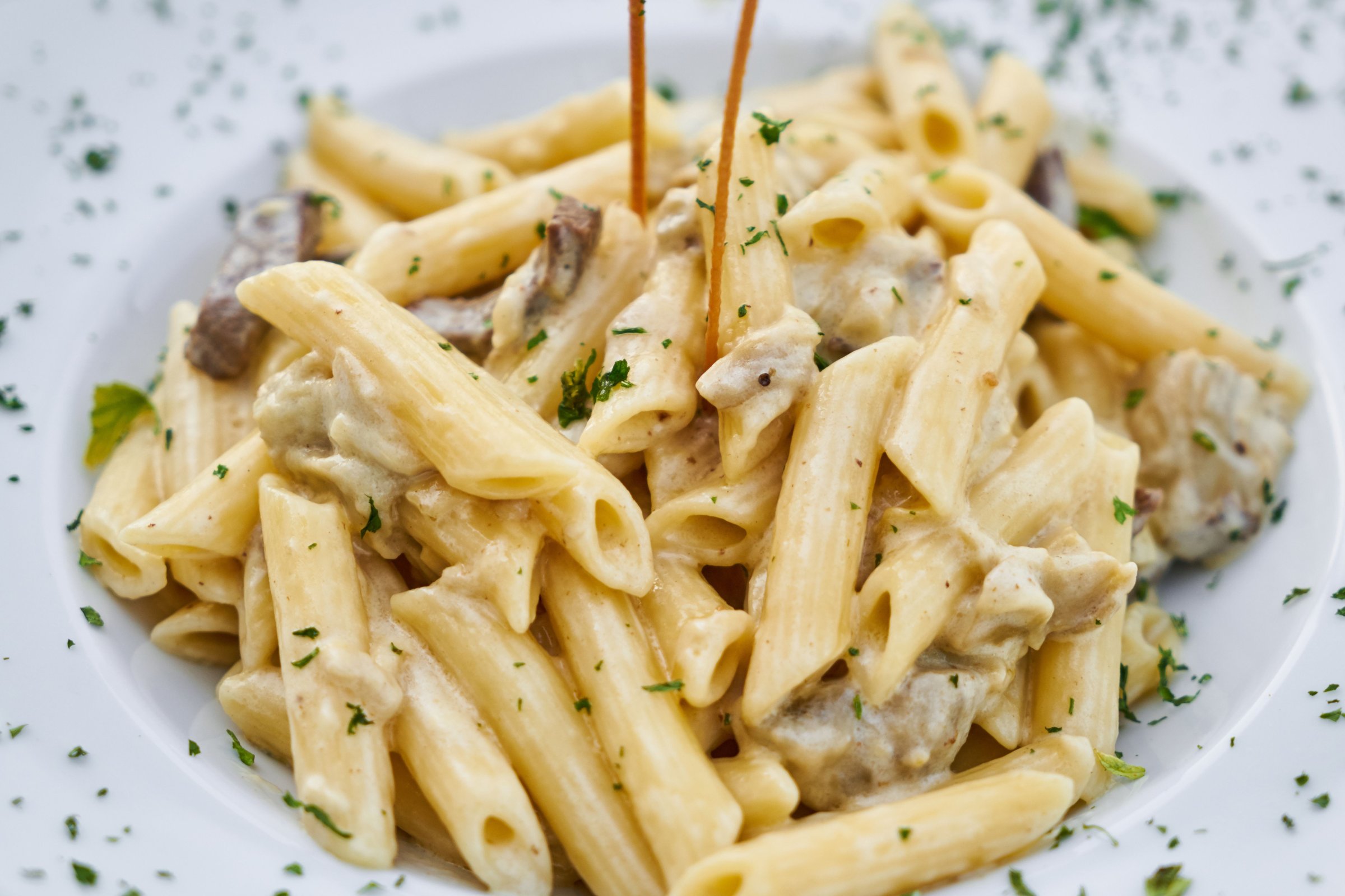 Creamy penne pasta with mushrooms and herbs on a white plate