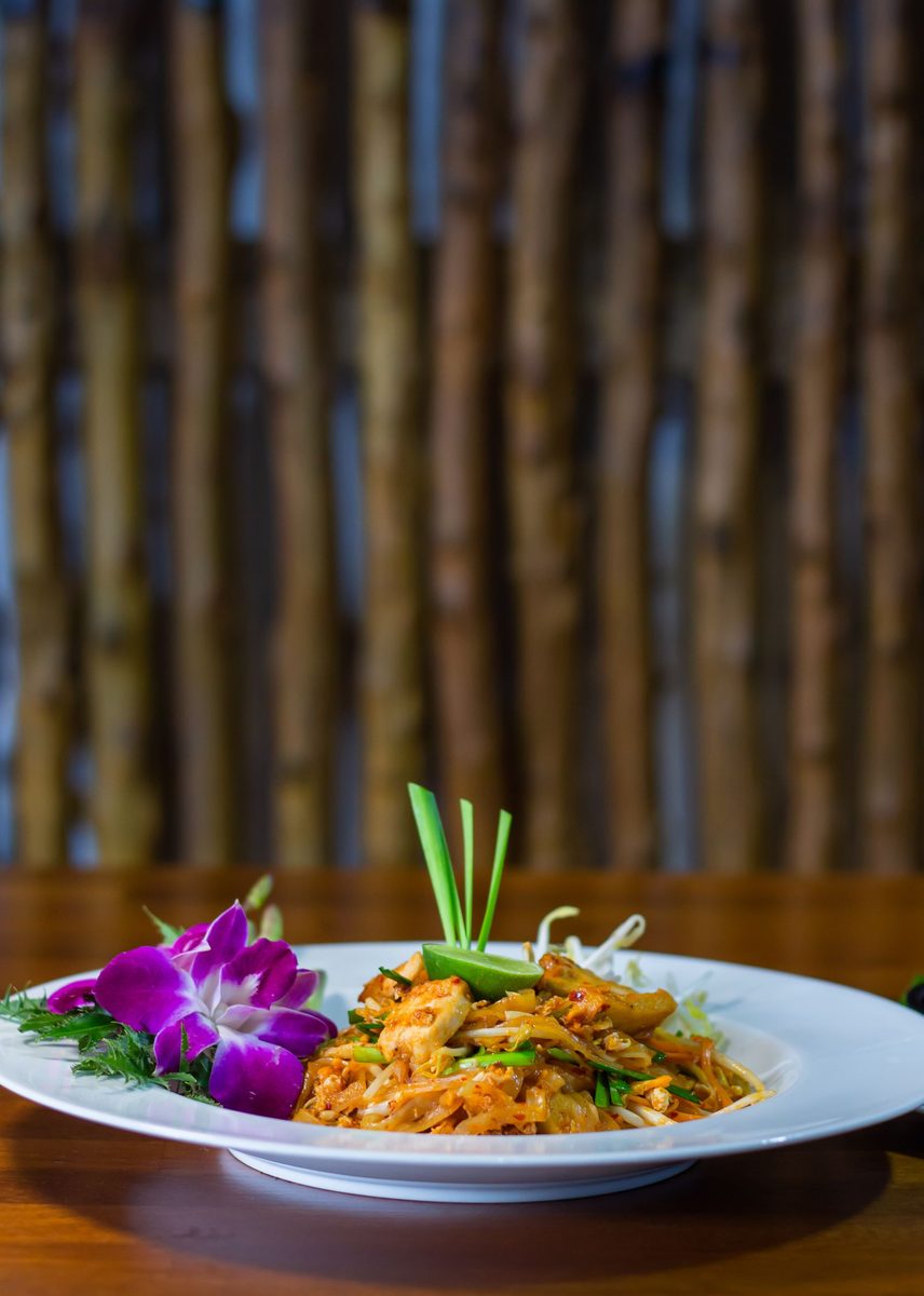 Finished shrimp Pad Thai noodles with bean sprouts and orchid garnish on a white plate