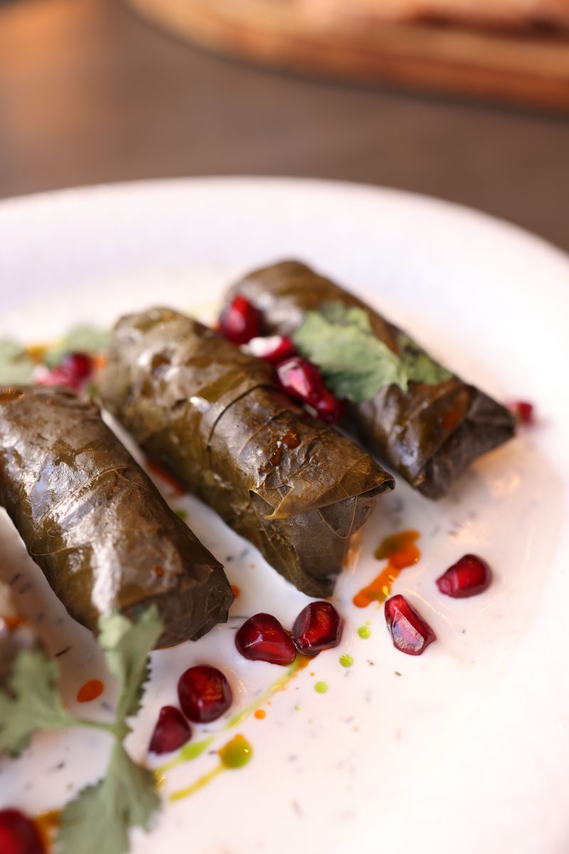 Finished dolma grape leaves filled with rice, garnished with pomegranate seeds and fresh herbs on a white plate